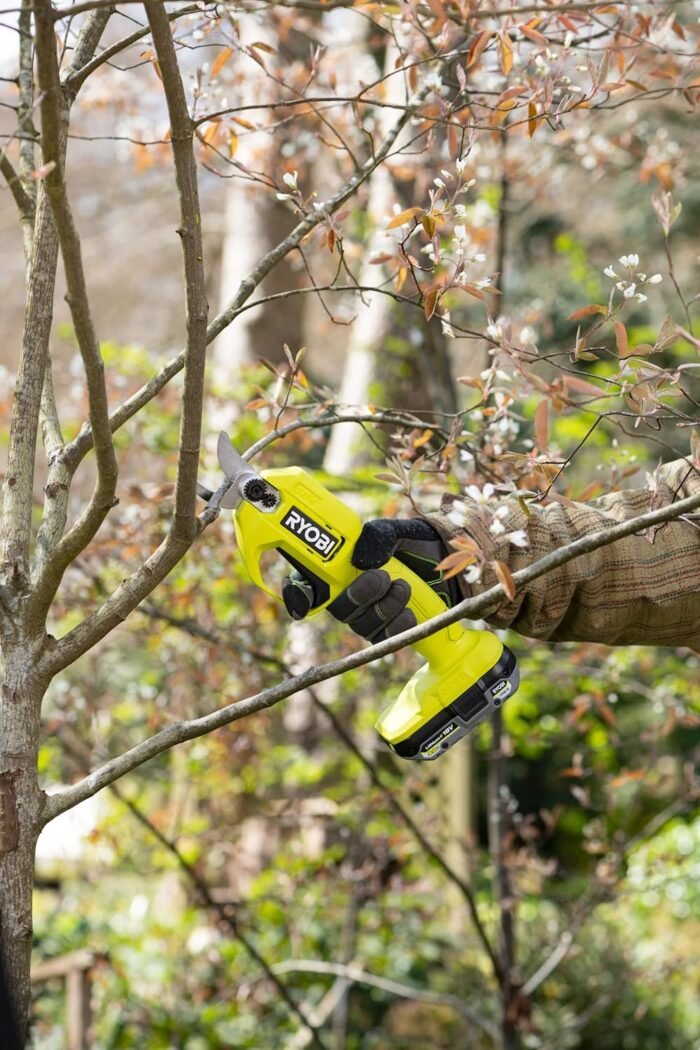 The Ryobi garden tools secateurs compatible with the ONE+ battery system, shown with compatible tools.